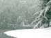 First Snow